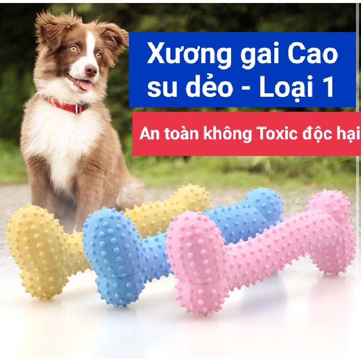 Xương nhai gặm bằng cao su cho chó mèo giúp sạch răng giảm căng thẳng - Loại Tốt An Toàn cho Bé