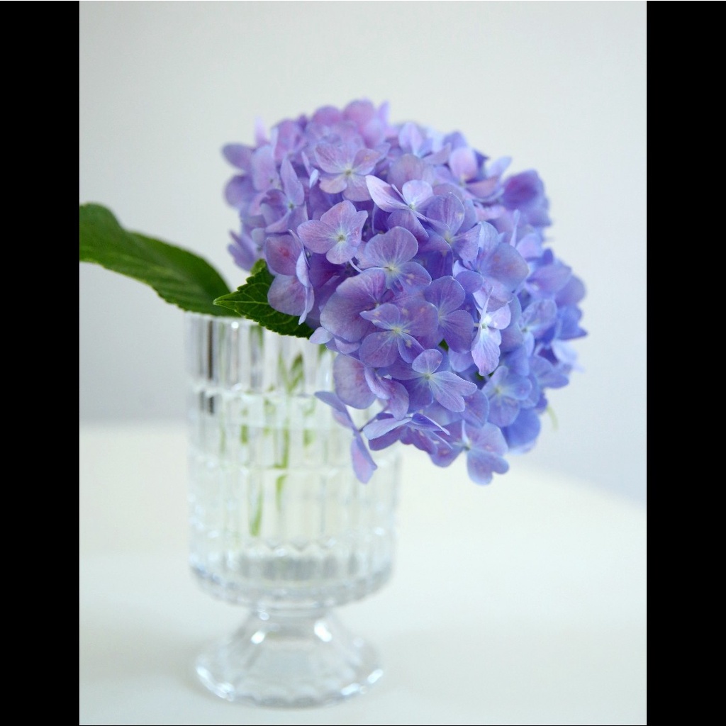 Bình hoa thủy tinh kim cương 18cm cắm hoa lụa, hoa tươi trang trí nhà cửa sang trọng Anhome LH-10