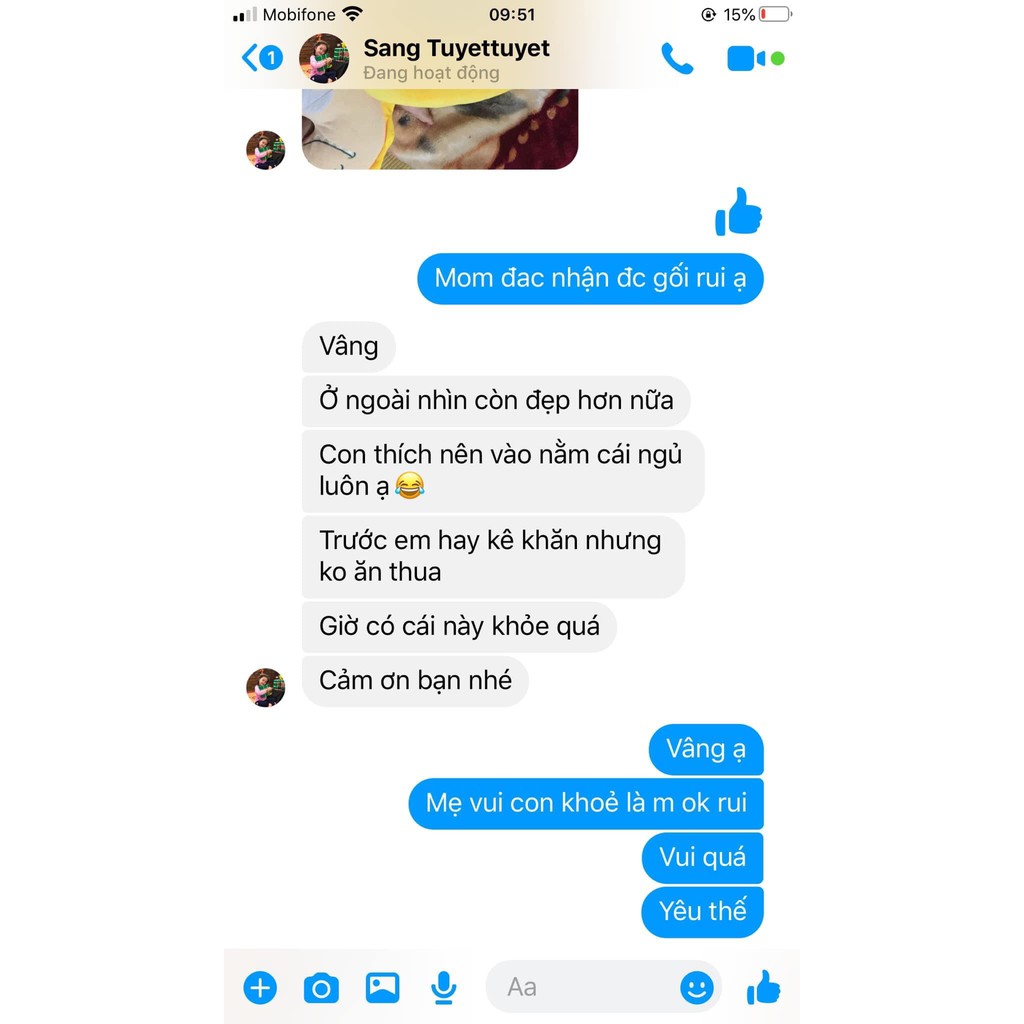 Com bo gối cừu đa năng và gối cá ngựa cho bé k thêu tên thêu.gối chữ C ngược