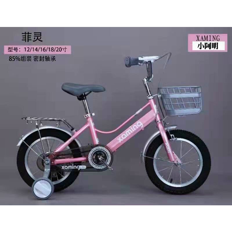 Xe đạp xaming mẫu mới.
