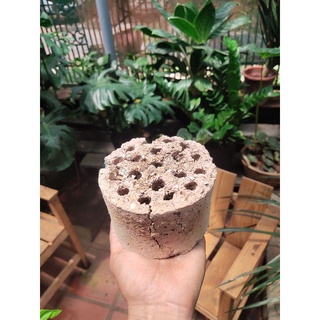 Xỉ than tổ ong đã qua xử lý 1kg=3cục