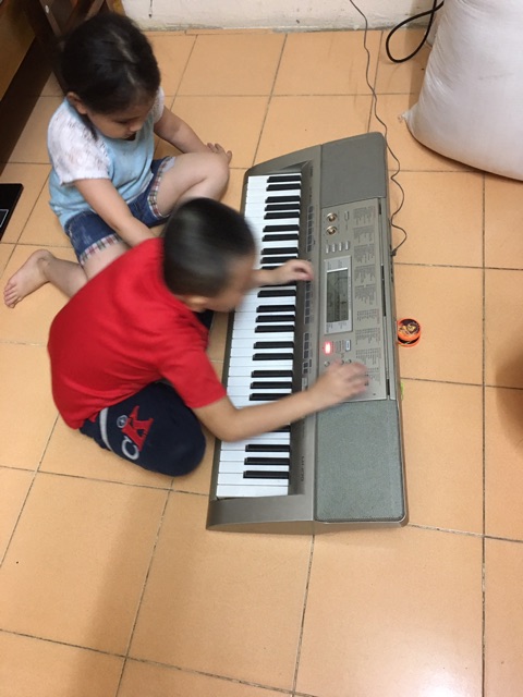 Casio LK 270 đàn organ hiện đại