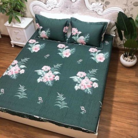 Ga gối chun trần 100% cốt tông hàn quốc(chát chọn mẫu)