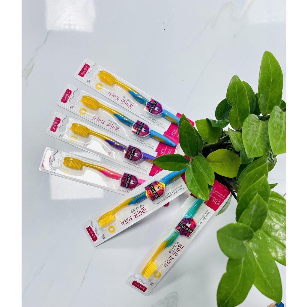 Bàn chải đánh răng ION Hàn Quốc  sợi siêu mềm, thuôn nhỏ dễ dàng làm sạch bên trong kẽ răng 88268