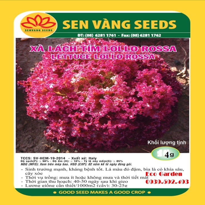 Hạt Giống Xà Lách Tím Lollo Rossa PN-9 Phú Nông - 2g