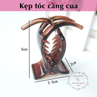 Kẹp tóc càng cua loại siêu bền đẹp, tiện dụng, 05 răng chắc chắn (01 kẹp tóc giao ngẫu nhiên)