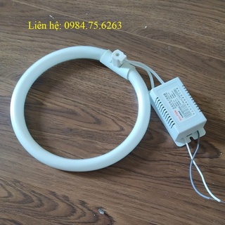 Bóng đèn huỳnh quang - bóng huỳnh quang tròn t5 22w