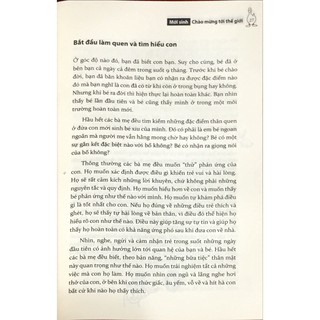 Sách - Tuần Khủng Hoảng ( The Wonder Weeks)