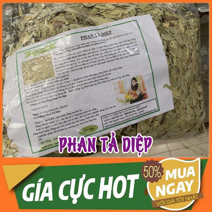 Phan tả diệp 500gr _ Thảo Dược Thanh Bình