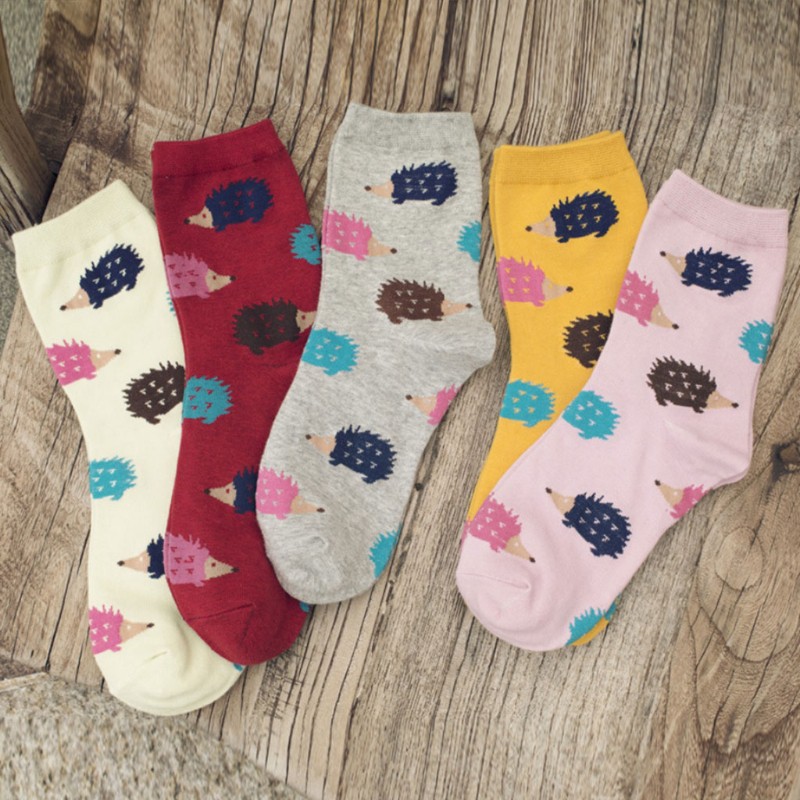 Tất cotton dài , in họa tiết nhím dễ thương cho nữ