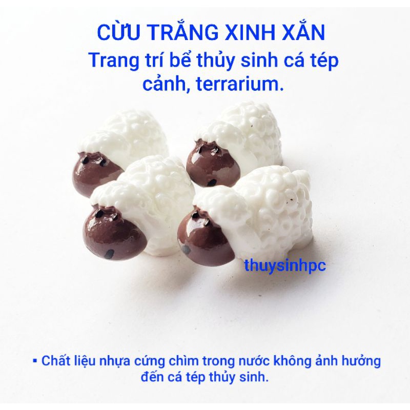 Cừu trắng trang trí bể thủy sinh cá cảnh