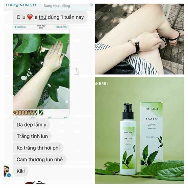 Serum body tinh chất trà xanh