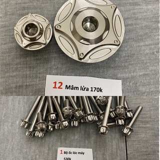 Combo ốc Salaya Satria lóc máy, Mâm lửa