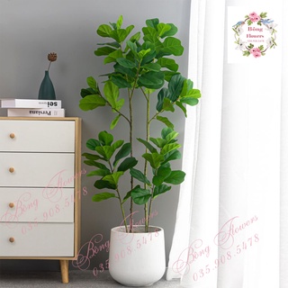 🌳 Cây bàng giả - Cây bàng Singapore cao 122cm 3 nhánh - CHƯA CHẬU