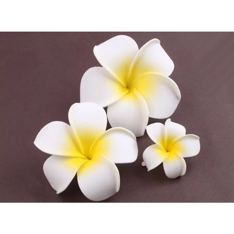 cài hoa sứ đi biển siêu dễ thương