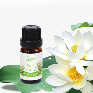 Tinh Dầu Leviter Sen Trắng 10ml làm xà phòng, nến thơm, khử mùi hôi phòng, giúp giảm stress
