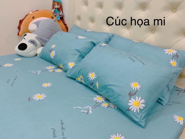 Bộ ga giường vỏ gối cotton poly (1 drap giường + 2 vỏ gối nằm) | BigBuy360 - bigbuy360.vn