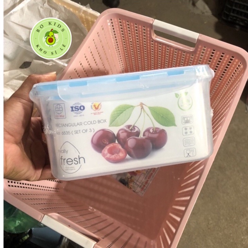 Bộ 3 Hộp Đựng Thực Phẩm Hình Chữ Nhật 6535 - Hộp đựng thực phẩm đồ ăn để tủ lạnh, hộp đựng thức ăn