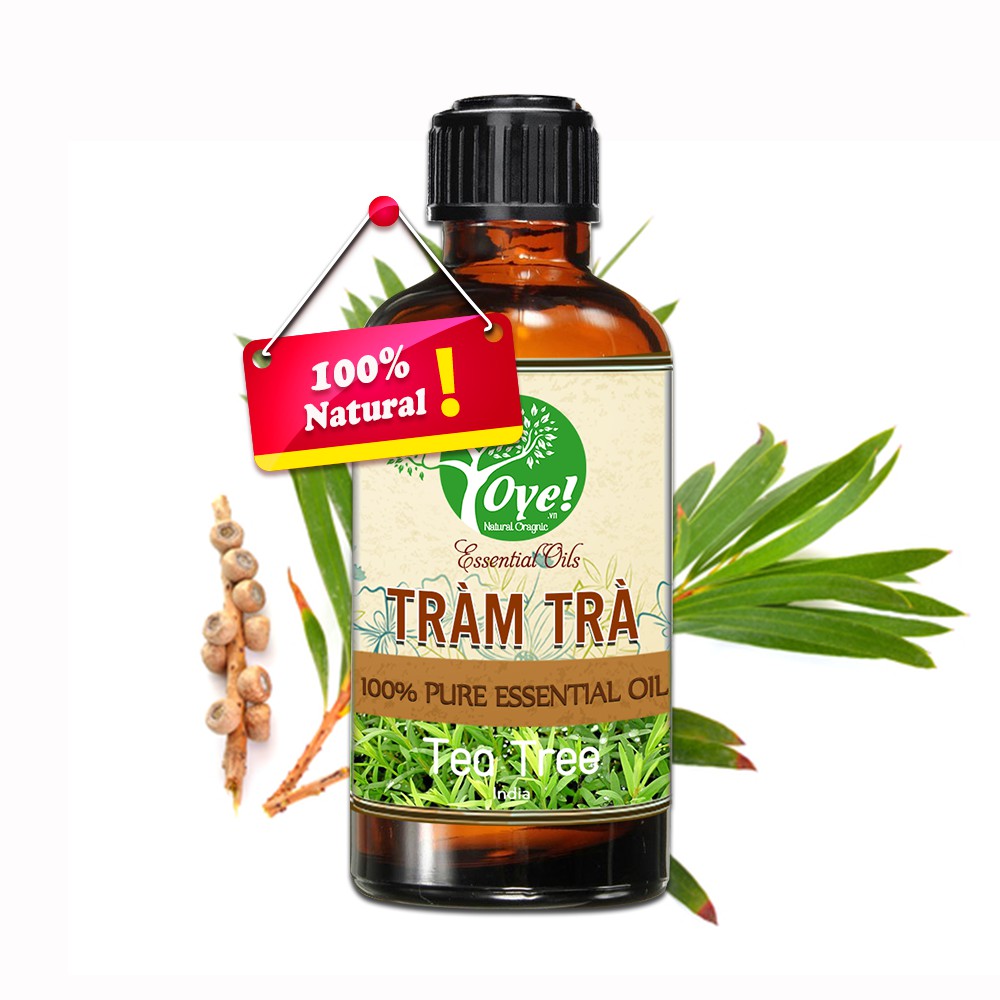 Tinh Dầu Tràm Trà 50ml Nguyên Chất