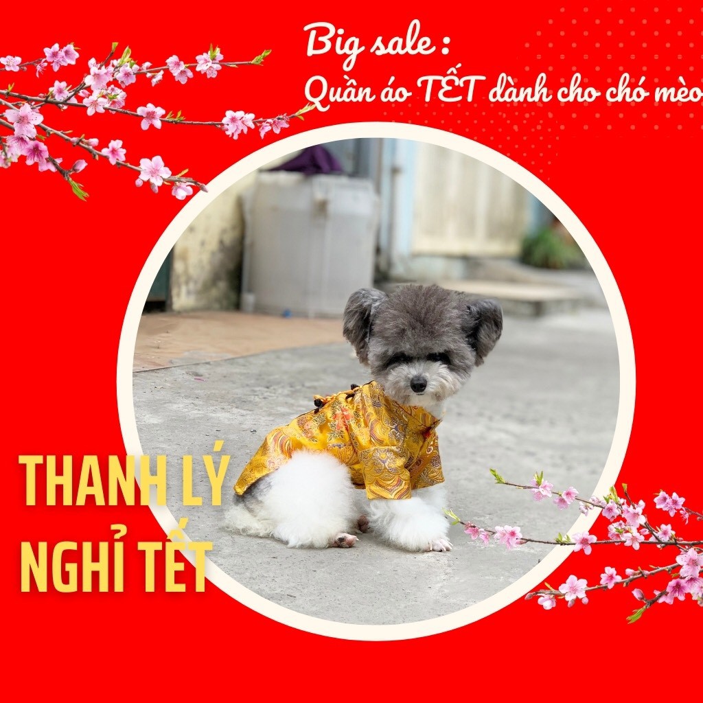 Áo Gấm Tết cho chó mèo