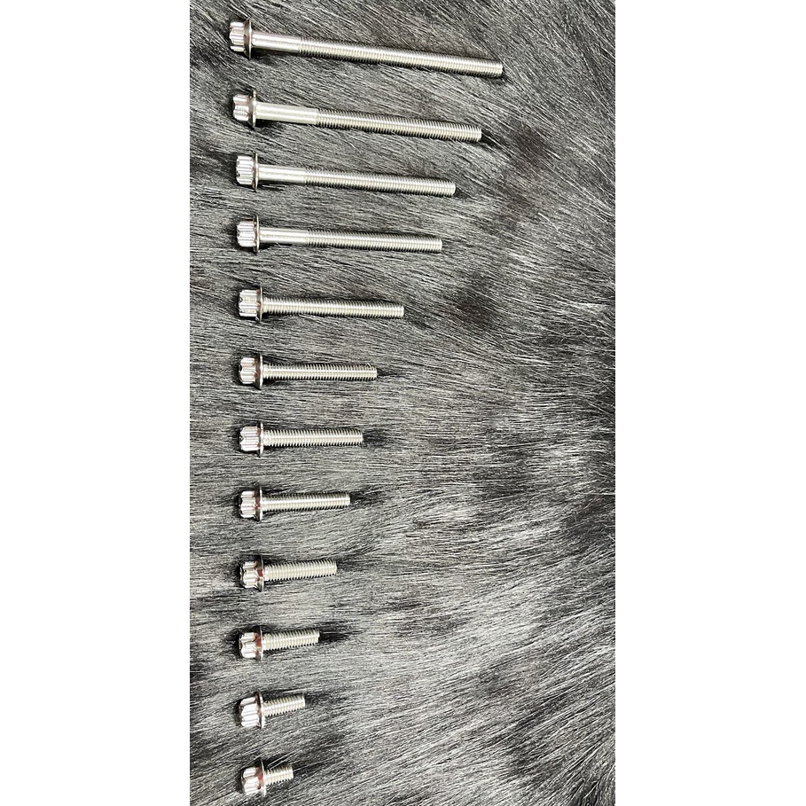 Bộ Ốc Lốc Máy Salaya Inox 304 Dành Cho Nhiều Dòng Xe Máy