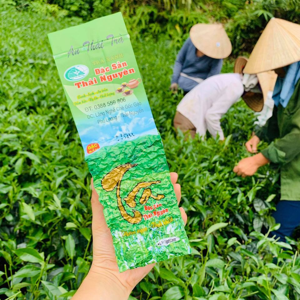 Hộp trà nõn tôm biếu tặng cao cấp tặng kèm túi xách sang trọng - Đặc sản Thái Nguyên thơm ngon hút chân không hộp 400g | BigBuy360 - bigbuy360.vn