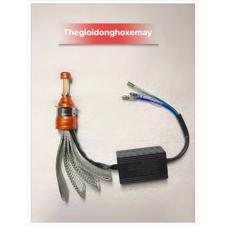 Đèn Pha Led CYT xịn - Chân T19 - 2 Tim