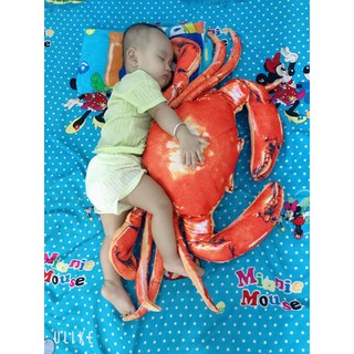 gối ôm 3d con cua 60cm