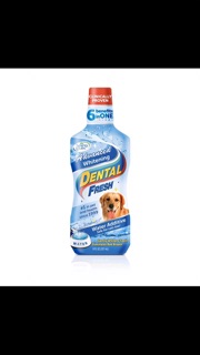DENTAL FRESH THƠM MIỆNG USA