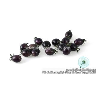 250.hạt hạt giống cà chua nho đen tg208