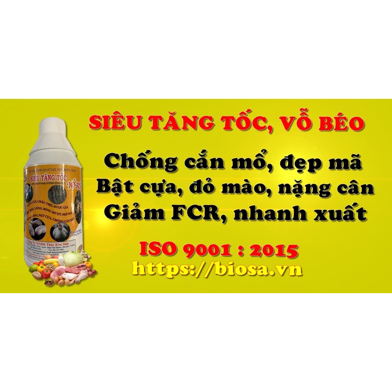 TKS-SIÊU TĂNG TỐC VỖ BÉO