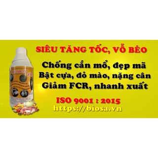Tks-siêu tăng tốc vỗ béo