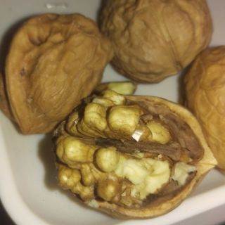 1kg Óc Chó Sapa
