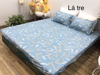 Bộ ga vỏ gối cotton poly (1 grap giường + 2 vỏ gối nằm)