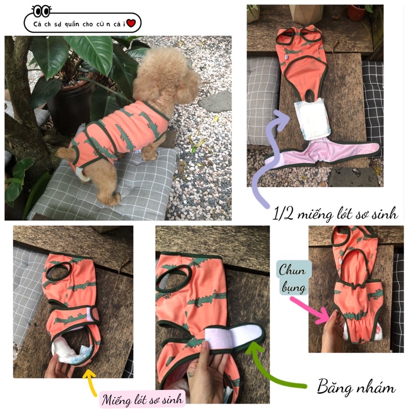 Quần sinh lý thú cưng unisex