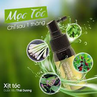 XỊT TÓC DƯỢC LIỆU THÁI DƯƠNG