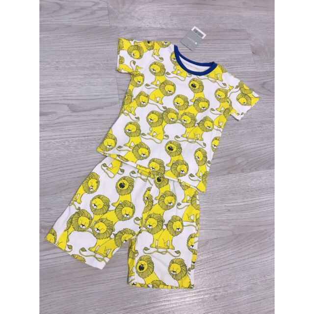 Bộ sư tử little maven