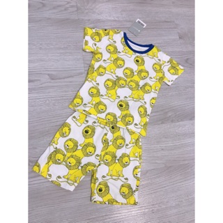 Bộ sư tử little maven