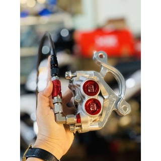 heo 81 hổ trợ bat heo full xe