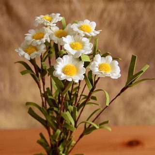 Hoa giả_ Hoa cúc tana cành 8 bông nhỏ