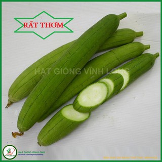 Hạt giống mướp hương f1 tn 266