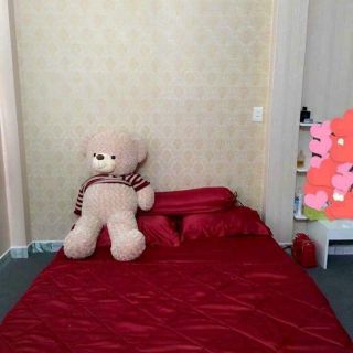 Bộ phi m6 _ m8 nệm 10 ,20phân