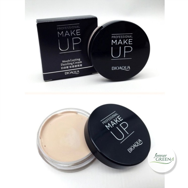 Phấn Tươi Professional Make Up Của Bioaqua Hàng Nội Địa Trung FG110 | BigBuy360 - bigbuy360.vn