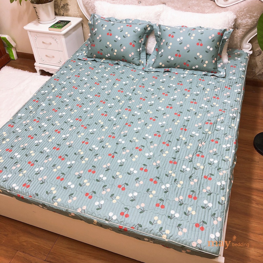 Drap Giường Cotton Hàn Quốc Trần Bông Cho Giường Đơn Kích Thước 1m2