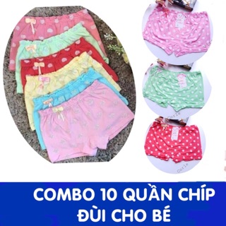 Combo 10 Quần chip đùi loại đẹp cho bé