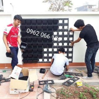 Combo 5 Chậu treo tường đứng màu đen