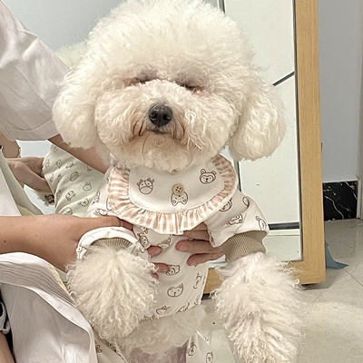 Áo liền thân kèm yếm họa tiết động vật dành cho thú cưng