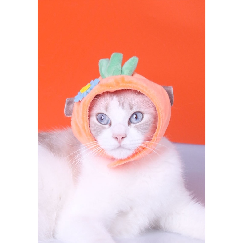 nón chó mèo nhiều mẫu - thích hợp chó con và mèo con dưới 4kg