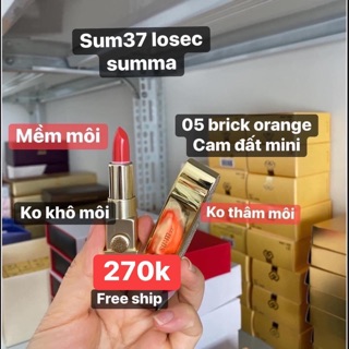 SON SUM TÁI SINH mini