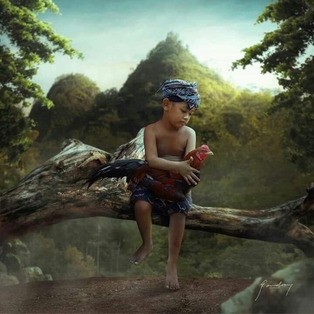 Phụ Kiện Ô Tô Việt Anh